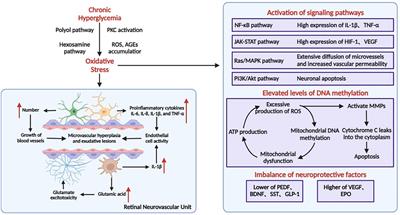 Recent advances in the treatment and delivery system of diabetic retinopathy